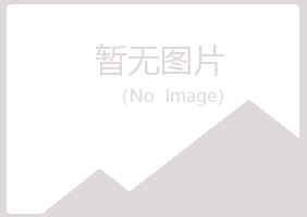 陵川县字迹媒体有限公司